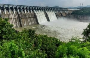 ગુજરાત પર મેઘ મહેર; સરેરાશ 47 ટકાથી વધુ વરસાદ થયો, 207 જળાશયમાં 54 ટકા પાણીનો સંગ્રહ, કચ્છમાં નોંધાયો સૌથી વધુ વર્ષા